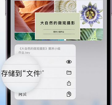 四会apple维修中心分享iPhone文件应用中存储和找到下载文件