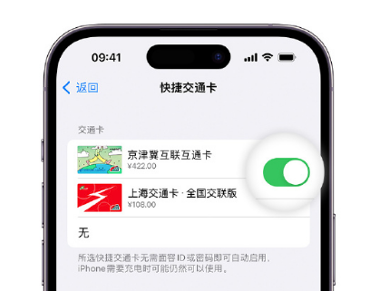 四会apple维修点分享iPhone上更换Apple Pay快捷交通卡手绘卡面 