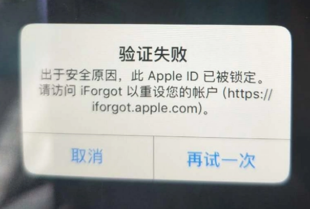 四会iPhone维修分享iPhone上正常登录或使用AppleID怎么办 