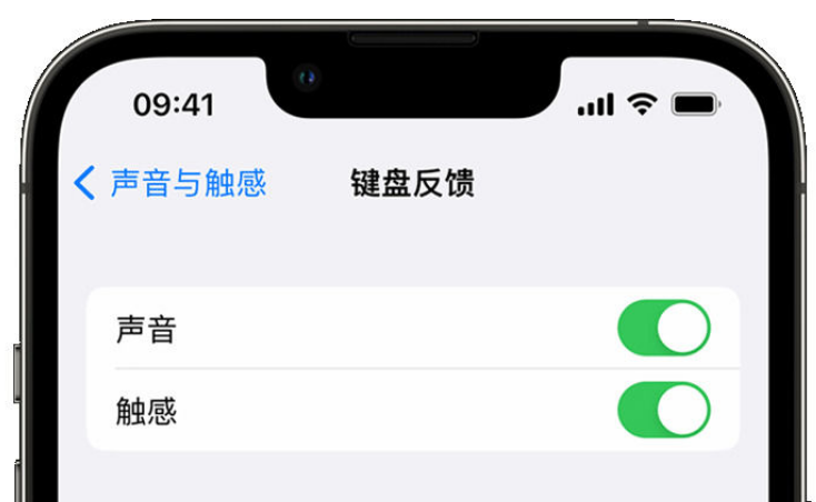 四会苹果手机维修分享iPhone 14触感键盘使用方法 