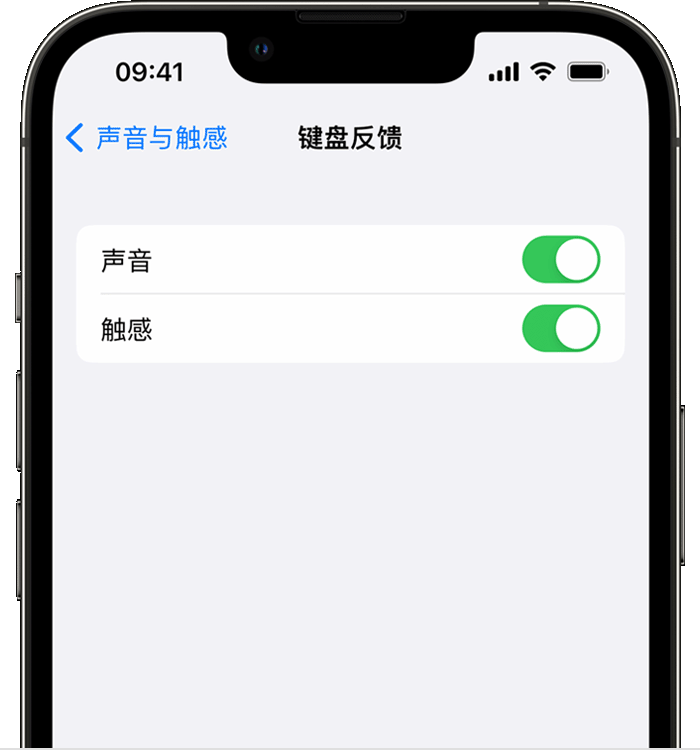 四会苹果14维修店分享如何在 iPhone 14 机型中使用触感键盘 