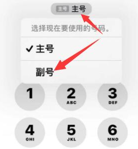 四会苹果14维修店分享iPhone 14 Pro Max使用副卡打电话的方法 