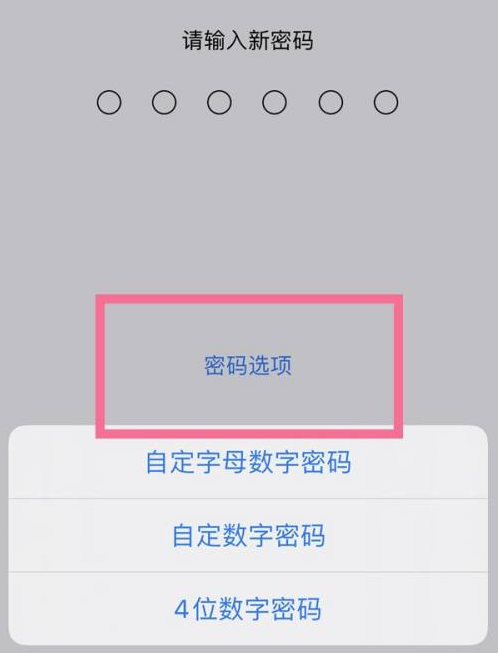 四会苹果14维修分享iPhone 14plus设置密码的方法 