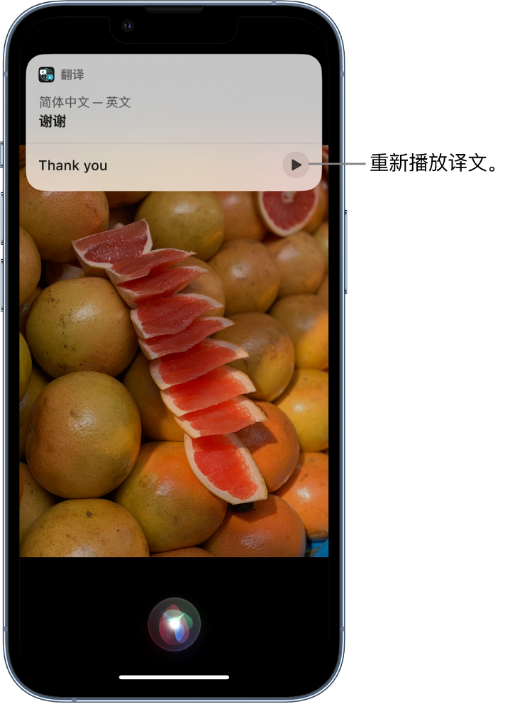 四会苹果14维修分享 iPhone 14 机型中使用 Siri：了解 Siri 能帮你做什么 