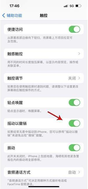 四会苹果手机维修分享iPhone手机如何设置摇一摇删除文字 